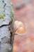 belmonte2_018_small.jpg