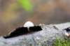 belmonte2_019_small.jpg