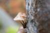 belmonte2_023_small.jpg