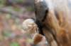 belmonte2_026_small.jpg