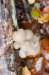 belmonte2_028_small.jpg