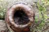 belmonte2_035_small.jpg