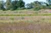 bertbospad2_025_small.jpg