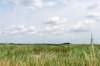 bertbospad_014_small.jpg