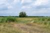 bertbospad_032_small.jpg