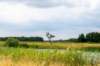 bertbospad_035_small.jpg