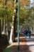 bilthoven_01_small.jpg