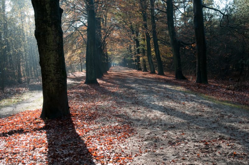 bilthoven_02.jpg
