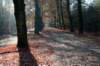 bilthoven_02_small.jpg