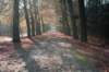 bilthoven_03_small.jpg