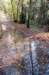 bilthoven_05_small.jpg