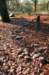 bilthoven_06_small.jpg