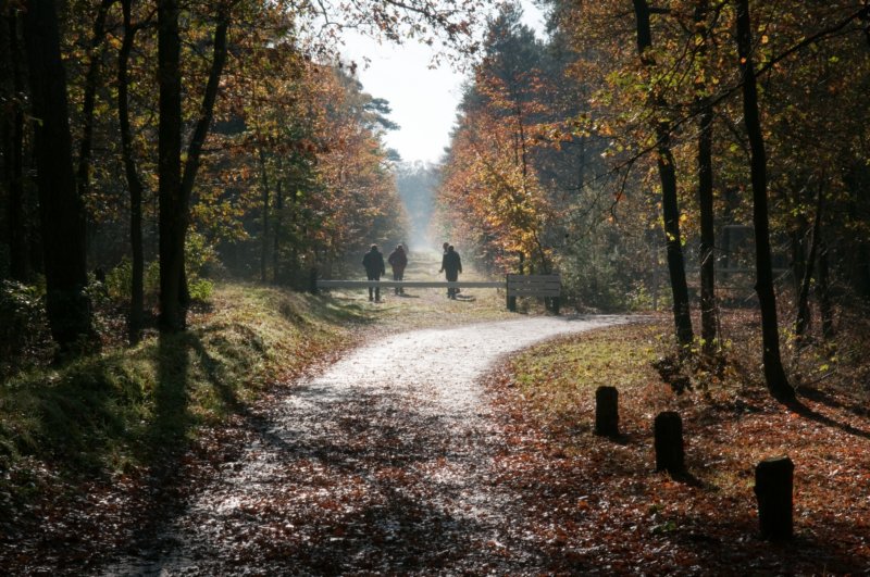 bilthoven_09.jpg