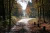 bilthoven_09_small.jpg
