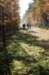 bilthoven_10_small.jpg