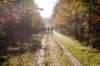 bilthoven_11_small.jpg