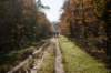 bilthoven_12_small.jpg