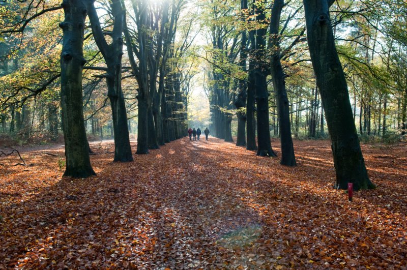 bilthoven_18.jpg