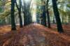 bilthoven_18_small.jpg