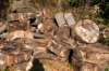 bilthoven_19_small.jpg