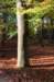 bilthoven_20_small.jpg