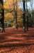 bilthoven_21_small.jpg