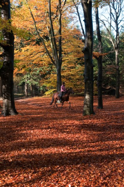 bilthoven_22.jpg