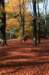 bilthoven_22_small.jpg