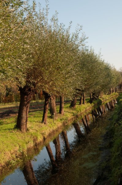 bilthoven_28.jpg