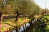 bilthoven_29_small.jpg