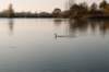 bilthoven_30_small.jpg