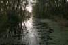 bilthoven_37_small.jpg