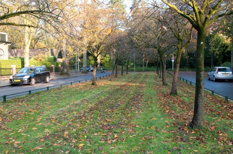 bilthoven_39.jpg