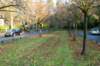 bilthoven_39_small.jpg