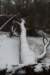 biltsebaaierd_007_small.jpg