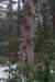 biltsebaaierd_036_small.jpg