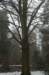 biltsebaaierd_037_small.jpg