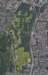 bomen_000a_small.jpg