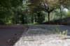 bomen_001_small.jpg