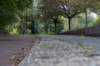 bomen_002_small.jpg