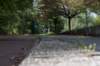 bomen_003_small.jpg