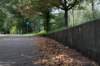 bomen_006_small.jpg