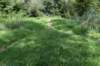 bomen_008_small.jpg