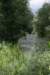 bomen_009_small.jpg