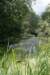 bomen_011_small.jpg