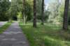 bomen_012_small.jpg