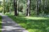 bomen_014_small.jpg