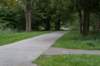 bomen_025_small.jpg