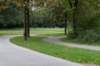 bomen_026_small.jpg