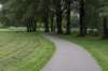 bomen_028_small.jpg